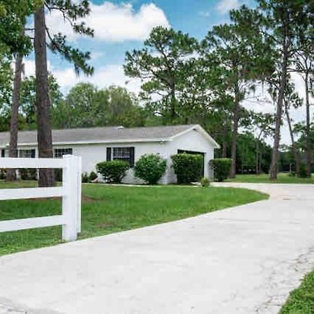 3Bdr2Bath Home In Lutz Close To Tampa, 20 Min To Stadium, Airport 외부 사진